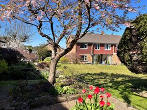 Rear- click for photo gallery